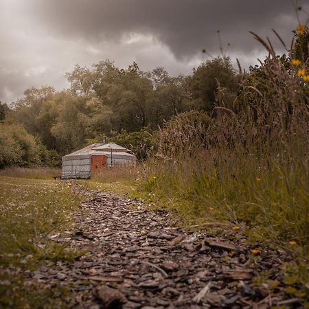 מלון אמנפורד Gilfach Gower Farm Luxury Yurt With Hot Tub מראה חיצוני תמונה